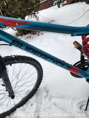 MaxSold Auction: Ladies bike - North Dundas (Ontario, Canada) SELLER MANAGED Reseller Online Auction - Morewood Main Street