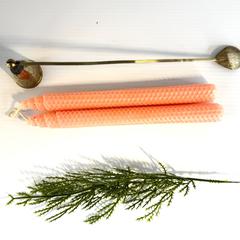 MaxSold Auction: Brass candle snuffer with shell handle end - coral beeswax candles - Toronto (Ontario, Canada) SELLER MANAGED Reseller Online Auction - Greengrove Crescent