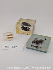 MaxSold Auction: Vintage Resin Insects & Scorpion - Langley (British Columbia, Canada) SELLER MANAGED Reseller Online Auction - 68 Avenue