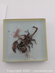 MaxSold Auction: Vintage Resin Insects & Scorpion - Langley (British Columbia, Canada) SELLER MANAGED Reseller Online Auction - 68 Avenue