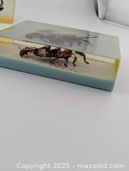 MaxSold Auction: Vintage Resin Insects & Scorpion - Langley (British Columbia, Canada) SELLER MANAGED Reseller Online Auction - 68 Avenue