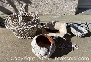 MaxSold Auction: Seashells! Shell Basket Conch and More - Thousand Oaks (California, USA) PARTNER MANAGED Estate Sale Online Auction - Saxon Place