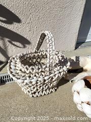 MaxSold Auction: Seashells! Shell Basket Conch and More - Thousand Oaks (California, USA) PARTNER MANAGED Estate Sale Online Auction - Saxon Place
