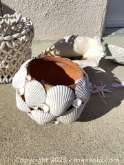 MaxSold Auction: Seashells! Shell Basket Conch and More - Thousand Oaks (California, USA) PARTNER MANAGED Estate Sale Online Auction - Saxon Place