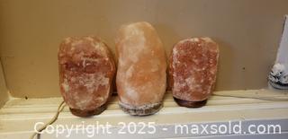 MaxSold Auction: Salt lamps - Toronto (Ontario, Canada) SELLER MANAGED Estate Sale Online Auction - Vanevery Street