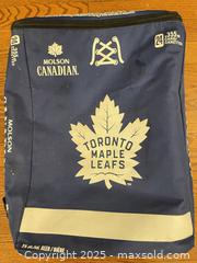 MaxSold Auction: Lot of 2 Promotional Bags: Insulated Cooler Backpack & Drawstring - Cobourg (Ontario, Canada) SELLER MANAGED Reseller Online Auction - Spragge Crescent