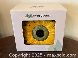 MaxSold Auction: Evergreen Hanging Glass Bird Feeder. Sunflower.  - San Francisco (California, USA) SELLER MANAGED Estate Sale Online Auction - Kenwood Way