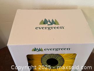 MaxSold Auction: Evergreen Hanging Glass Bird Feeder. Sunflower.  - San Francisco (California, USA) SELLER MANAGED Estate Sale Online Auction - Kenwood Way