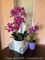 MaxSold Auction: Vintage CG Hunter Life-Like Orchids. One is a live Plant. Beautiful!  - San Francisco (California, USA) SELLER MANAGED Estate Sale Online Auction - Kenwood Way