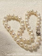 MaxSold Auction: Vintage Creamy White Freshwater Cultured Pearl Necklace with 925 Clasp - Toronto (Ontario, Canada) SELLER MANAGED Downsizing Online Auction - O'connor Drive (CONDO)