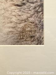 MaxSold Auction: Signed photo of Wolf  - Elgin (Ontario, Canada) SELLER MANAGED Estate Sale Online Auction - Main Street