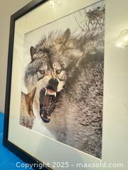 MaxSold Auction: Signed photo of Wolf  - Elgin (Ontario, Canada) SELLER MANAGED Estate Sale Online Auction - Main Street