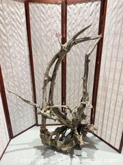 MaxSold Auction: Large Natural Driftwood Root Sculpture 58.5in x 44in x 17in - Warwick (Rhode Island, USA) SELLER MANAGED Reseller Online Auction - Warwick Avenue