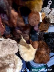 MaxSold Auction: Vintage Fur Collars, Stoles Hats Etc. - Hamilton (Ontario, Canada) SELLER MANAGED Estate Sale Online Auction - Gertrude Street