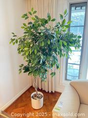 MaxSold Auction: Faux Plant B - Toronto (Ontario, Canada) Downsizing Online Auction - Eden Valley Drive
