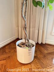 MaxSold Auction: Faux Plant B - Toronto (Ontario, Canada) Downsizing Online Auction - Eden Valley Drive