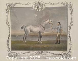 MaxSold Auction: Antique Horse Racing Prints by Richard Houston(Irish 1721-1775)-A - Toronto (Ontario, Canada) PARTNER MANAGED Reseller Online Auction - Queen Street West