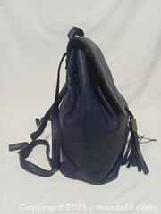 MaxSold Auction: Kate Spade New York Wilder Grey Street Large Navy Blue Leather Backpack Bag  - Toronto (Ontario, Canada) PARTNER MANAGED Reseller Online Auction - Queen Street West