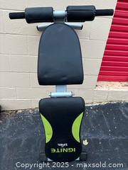 MaxSold Auction: Ignite by SPRI FITNESS BENCH  - Decatur (Georgia, USA) SELLER MANAGED Moving Online Auction - Snapfinger Woods Drive (STORAGE)