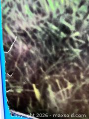 MaxSold Auction: Chicken Little Movie Poster – Double-Sided - Los Angeles (California, USA) SELLER MANAGED Reseller Online Auction - Devonshire Street