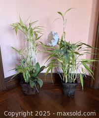 MaxSold Auction: Vintage Lucky Bamboo Plants in Planters  - San Francisco (California, USA) SELLER MANAGED Estate Sale Online Auction - Kenwood Way