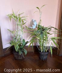 MaxSold Auction: Vintage Lucky Bamboo Plants in Planters  - San Francisco (California, USA) SELLER MANAGED Estate Sale Online Auction - Kenwood Way
