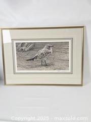 MaxSold Auction: Laughing Gull and Horseshoe Crab by Robert Bateman, 53/950 - Toronto (Ontario, Canada) PARTNER MANAGED Downsizing Online Auction - Research Road (STORAGE)