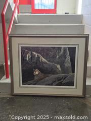 MaxSold Auction: Robert Bateman Cougar / Mountain Lion Signed Limited Print, 38 x 32 - Toronto (Ontario, Canada) PARTNER MANAGED Downsizing Online Auction - Research Road (STORAGE)