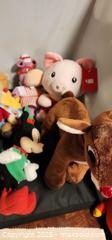MaxSold Auction: Assorted plushies (mickey,Rudolph, nba,Arthur,max,berenstain bears) - Toronto (Ontario, Canada) SELLER MANAGED Reseller Online Auction - Falstaff Avenue (CONDO)