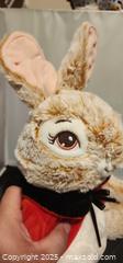 MaxSold Auction: Beatrix Potter Peter Rabbit Flopsy Bunny 18" Plush - Toronto (Ontario, Canada) SELLER MANAGED Reseller Online Auction - Falstaff Avenue (CONDO)