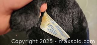 MaxSold Auction: Dog plush lot. Build a Bear labrador, wrinkles hound, Unbranded Dachshund  - Toronto (Ontario, Canada) SELLER MANAGED Reseller Online Auction - Falstaff Avenue (CONDO)