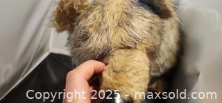 MaxSold Auction: Realistic Looking Bear Plush - Toronto (Ontario, Canada) SELLER MANAGED Reseller Online Auction - Falstaff Avenue (CONDO)