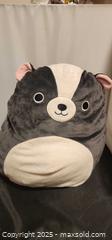MaxSold Auction: Squishmallow Skyler Skunk Soft Plush Pillow - Toronto (Ontario, Canada) SELLER MANAGED Reseller Online Auction - Falstaff Avenue (CONDO)