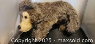 MaxSold Auction: Timber Wolf Dog 18” Approx. Nose To Tail  - Toronto (Ontario, Canada) SELLER MANAGED Reseller Online Auction - Falstaff Avenue (CONDO)