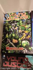 MaxSold Auction: Young Justice DC Comics book lot  - Toronto (Ontario, Canada) SELLER MANAGED Reseller Online Auction - Falstaff Avenue (CONDO)