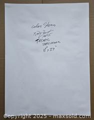 MaxSold Auction: Colour Storm - Original Mixed Media Floral painting, 24" x 18" by Tadas Zaicikas (TedyZet) - Toronto (Ontario, Canada) SELLER MANAGED Downsizing Online Auction - Harbord Street