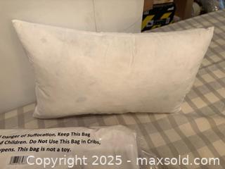 MaxSold Auction: 4 Feather Back Pillows Lot 56 - Bear (Delaware, USA) SELLER MANAGED Downsizing Online Auction - Donna Marie Way