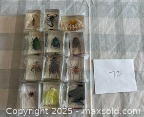 MaxSold Auction: Bugs in Resin Collection Lot 72 - Bear (Delaware, USA) SELLER MANAGED Downsizing Online Auction - Donna Marie Way