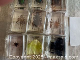 MaxSold Auction: Bugs in Resin Collection Lot 72 - Bear (Delaware, USA) SELLER MANAGED Downsizing Online Auction - Donna Marie Way