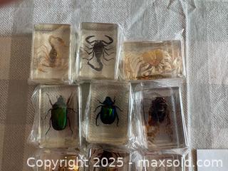 MaxSold Auction: Bugs in Resin Collection Lot 72 - Bear (Delaware, USA) SELLER MANAGED Downsizing Online Auction - Donna Marie Way