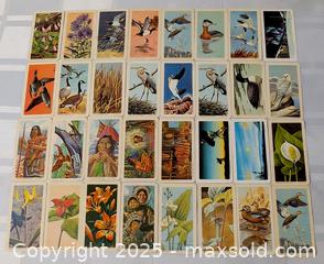 MaxSold Auction: BROOKE BOND TEA CARDS - Kingston (Ontario, Canada) SELLER MANAGED Downsizing Online Auction - Rosemund Crescent
