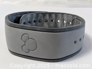 MaxSold Auction: WALT DISNEY DIGITAL ID BRACELET - Kingston (Ontario, Canada) SELLER MANAGED Downsizing Online Auction - Rosemund Crescent