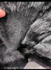 MaxSold Auction: Women winter boot.  size 7.5. waterproof - Toronto (Ontario, Canada) SELLER MANAGED Reseller Online Auction - Cosburn Avenue (CONDO)