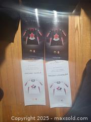 MaxSold Auction: Team Canada Mini-jerseys lot of 4 New - Toronto (Ontario, Canada) SELLER MANAGED Downsizing Online Auction - Mcadam Avenue