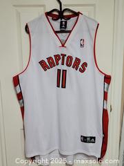 MaxSold Auction: Toronto Raptors T.J. Ford Jersey 2XL - Toronto (Ontario, Canada) SELLER MANAGED Downsizing Online Auction - Mcadam Avenue