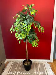 MaxSold Auction: Large Artificial Ficus Tree with Integrated String Lights - London (Ontario, Canada) PARTNER MANAGED Downsizing Online Auction - Trillium Crescent