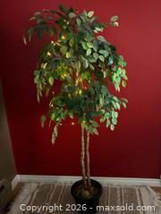 MaxSold Auction: Large Artificial Ficus Tree with Integrated String Lights - London (Ontario, Canada) PARTNER MANAGED Downsizing Online Auction - Trillium Crescent