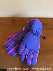 MaxSold Auction: Vintage Columbia Bugaboo Gloves - Los Altos (California, USA) SELLER MANAGED Estate Sale Online Auction - Newcastle Drive