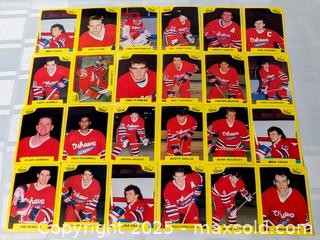 MaxSold Auction: 1990'S OSHAWA GENERAL OHL HOCKEY TEAM CARD LOT - Kingston (Ontario, Canada) SELLER MANAGED Downsizing Online Auction - Rosemund Crescent