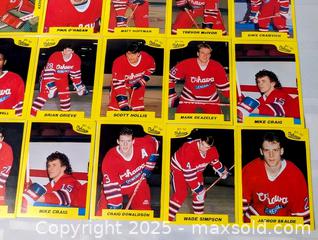 MaxSold Auction: 1990'S OSHAWA GENERAL OHL HOCKEY TEAM CARD LOT - Kingston (Ontario, Canada) SELLER MANAGED Downsizing Online Auction - Rosemund Crescent